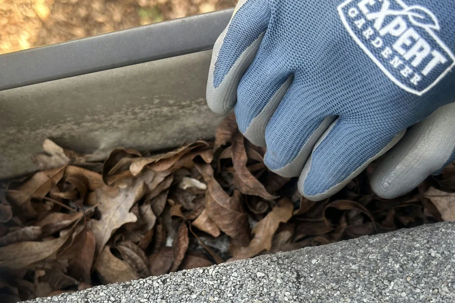 Gutter Cleaning Richmond Heights, MO